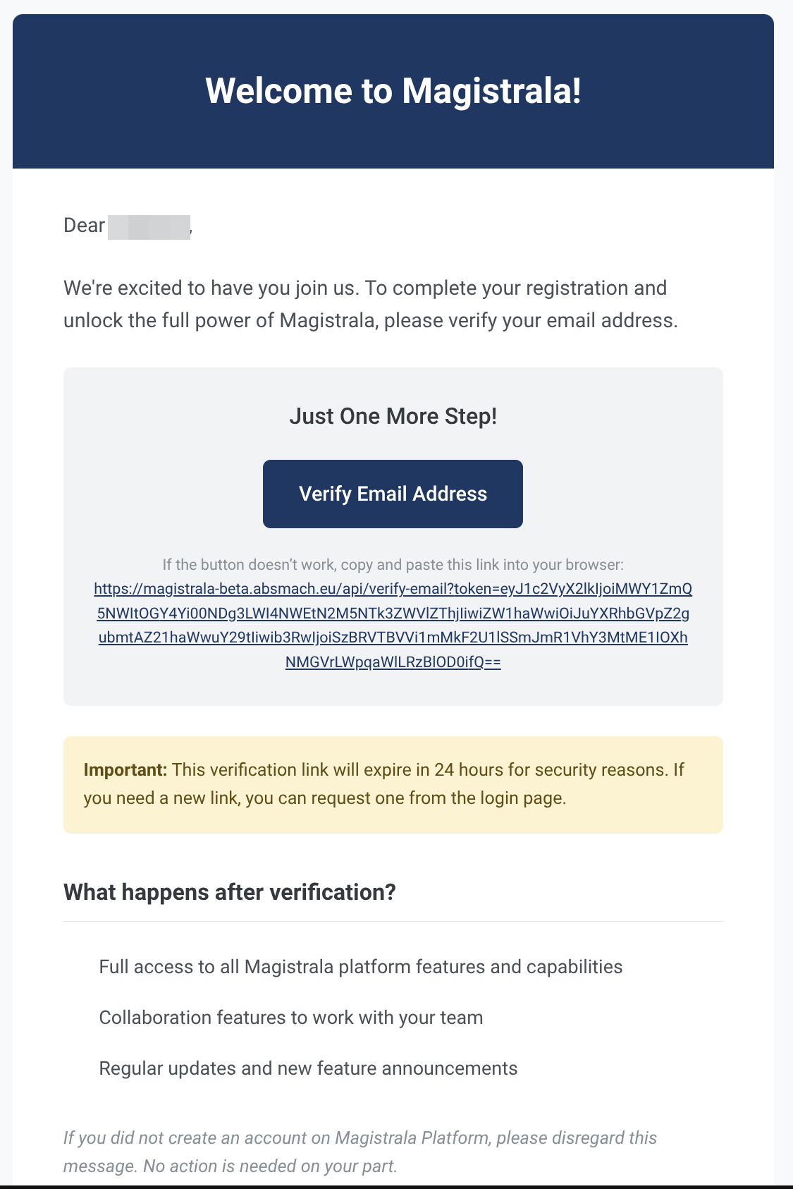 Email Verification Message